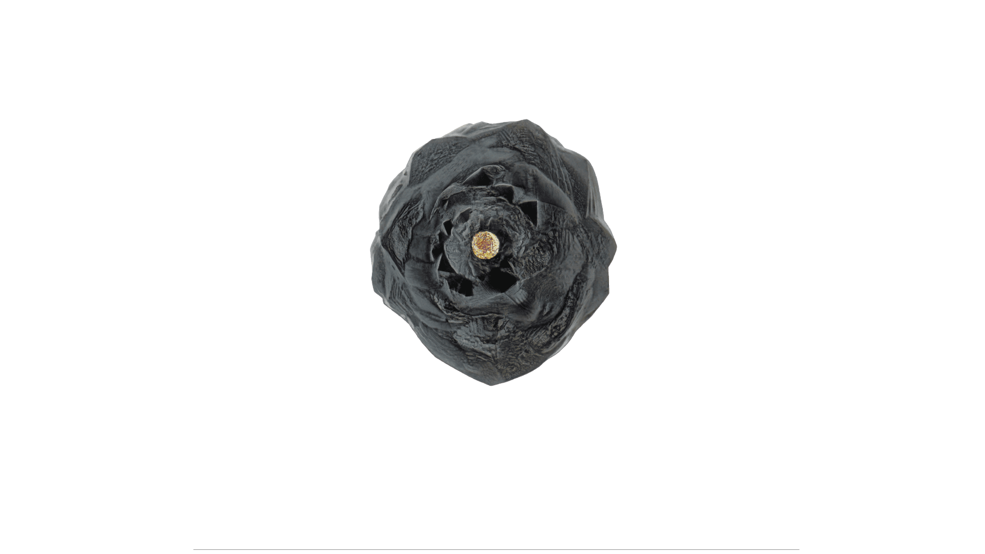 Stardust