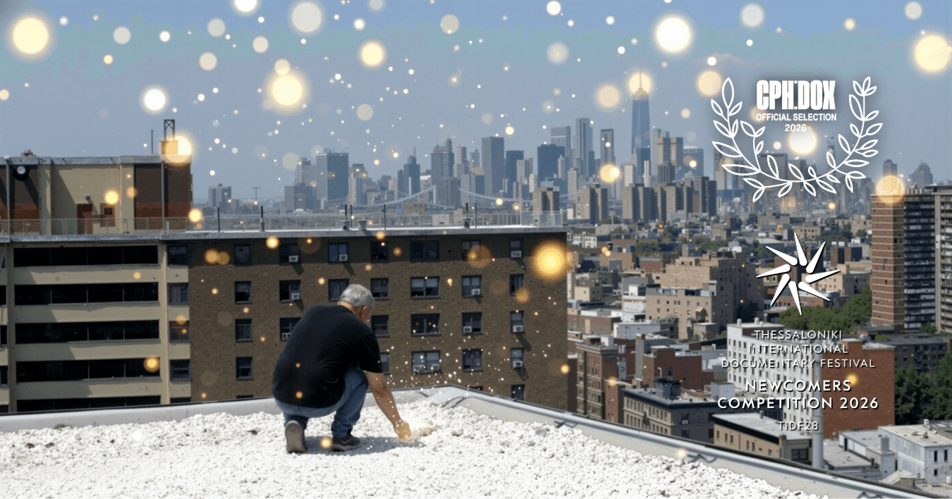 We Are Stardust — Screenings