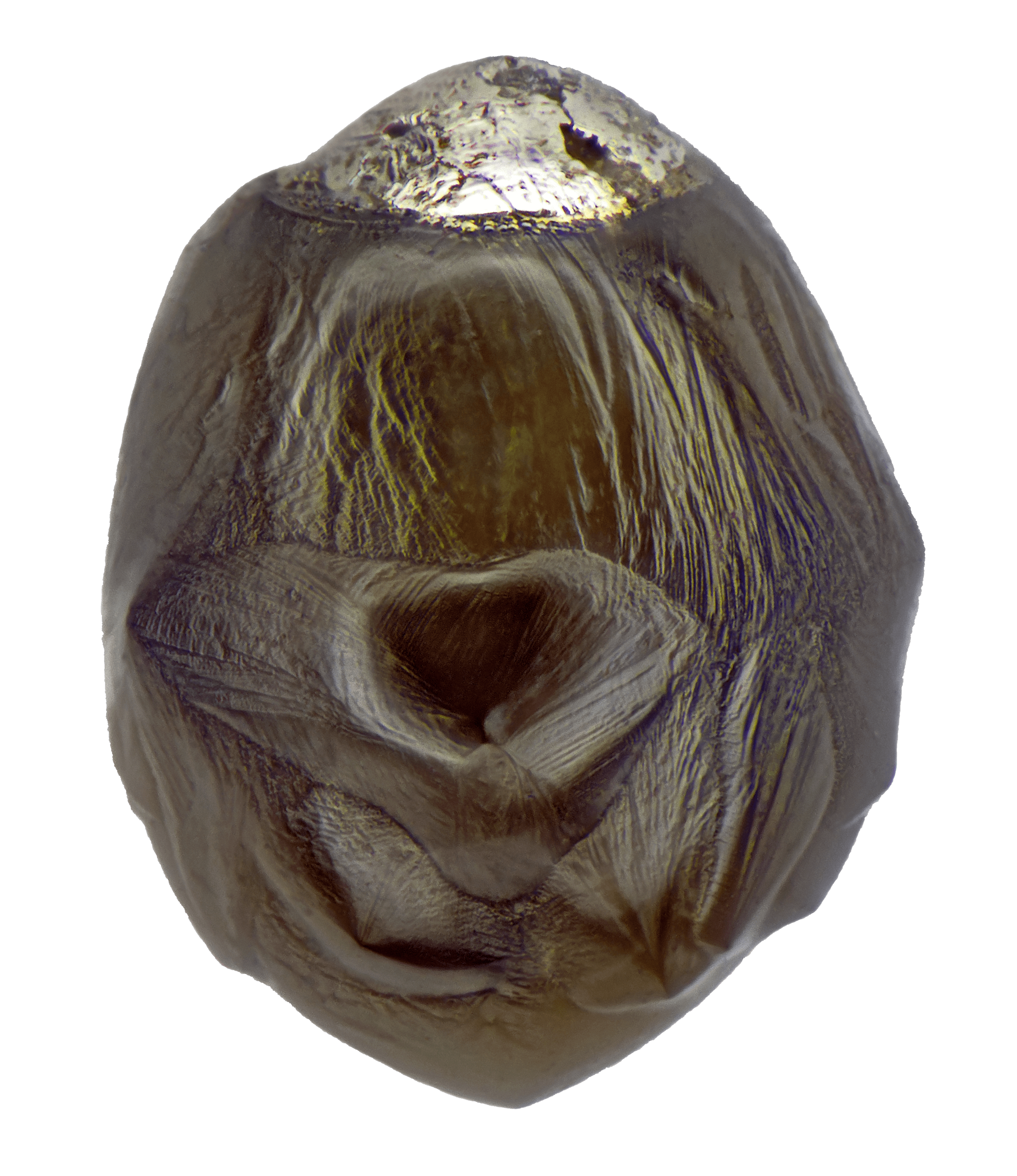 NMM 646 Hosletoppen micrometeorite